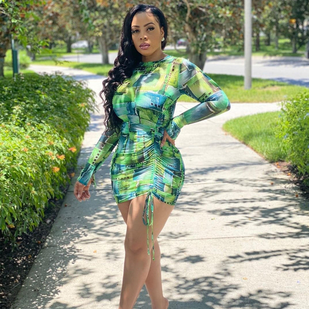 Net Yarn See-Through Print Pleated Long-Sleeved Ladies Dress