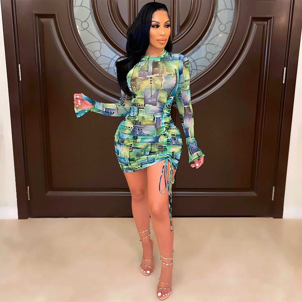 Net Yarn See-Through Print Pleated Long-Sleeved Ladies Dress