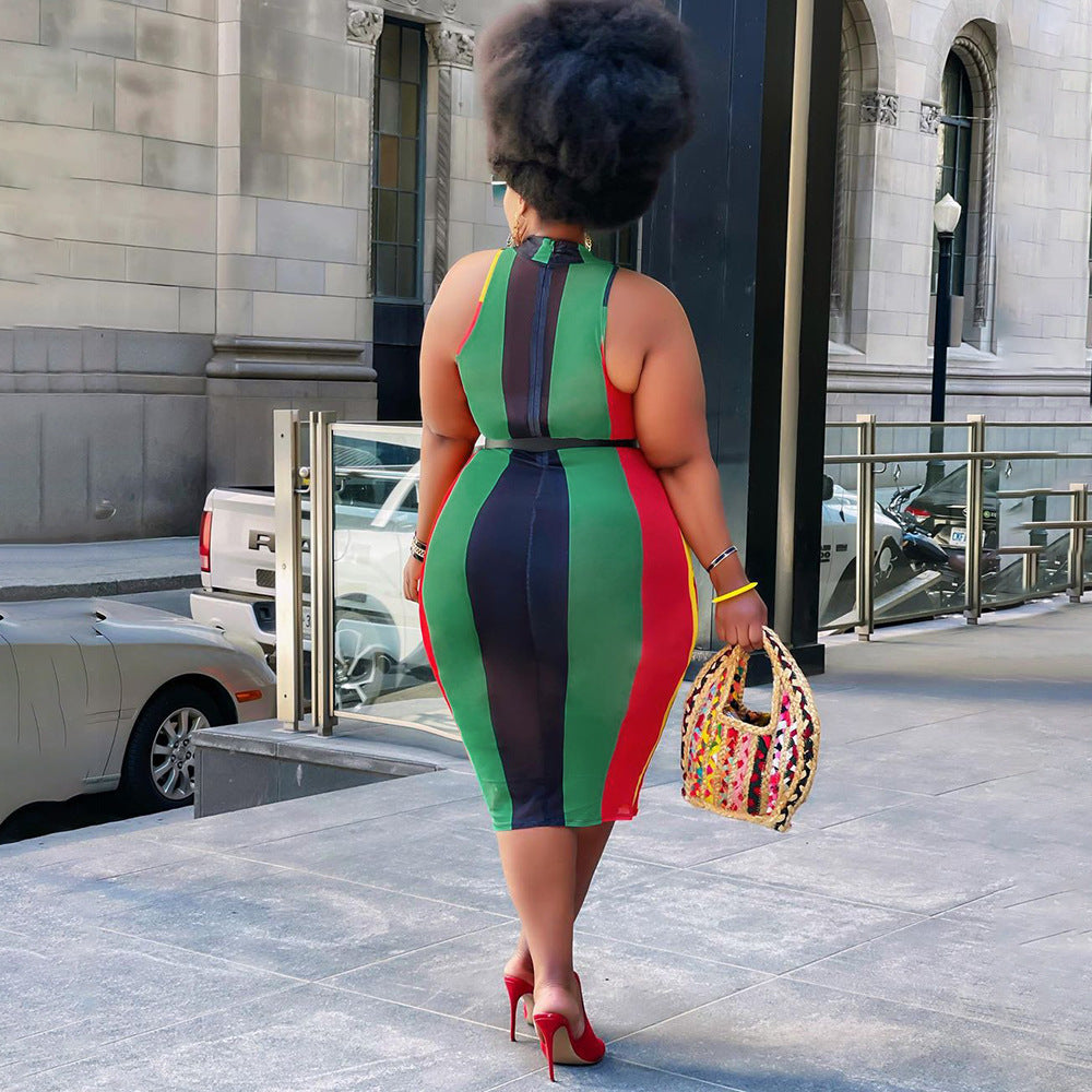 See-through Mesh Printed Striped Sleeveless Dress