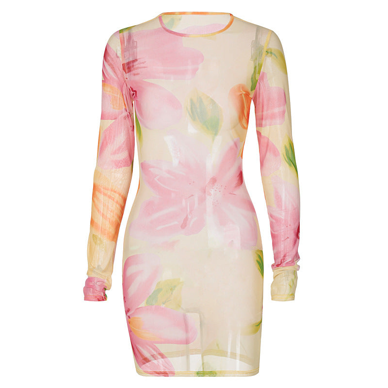 Printed See-through Mesh Round Neck Dress